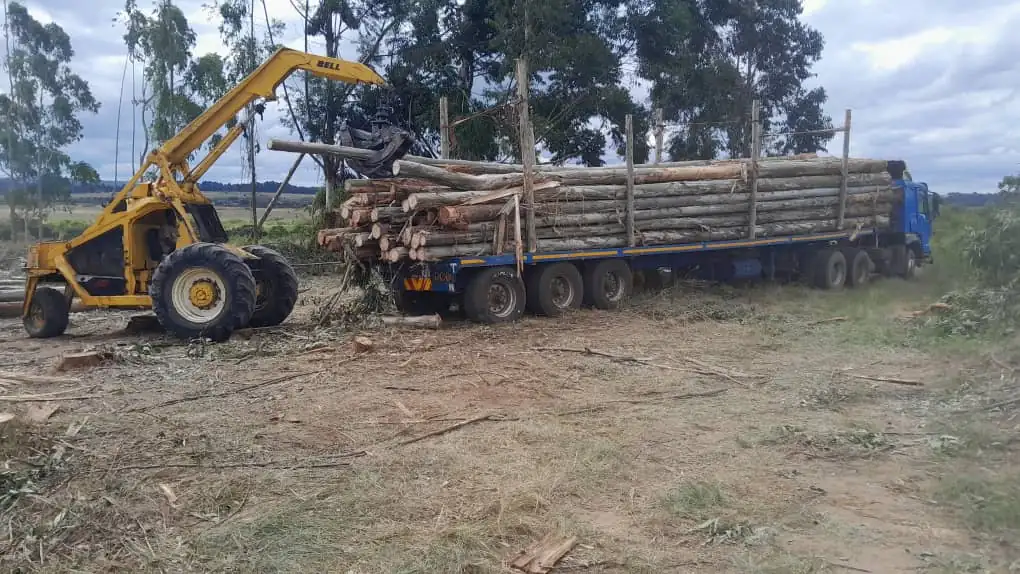 Loading treated poles