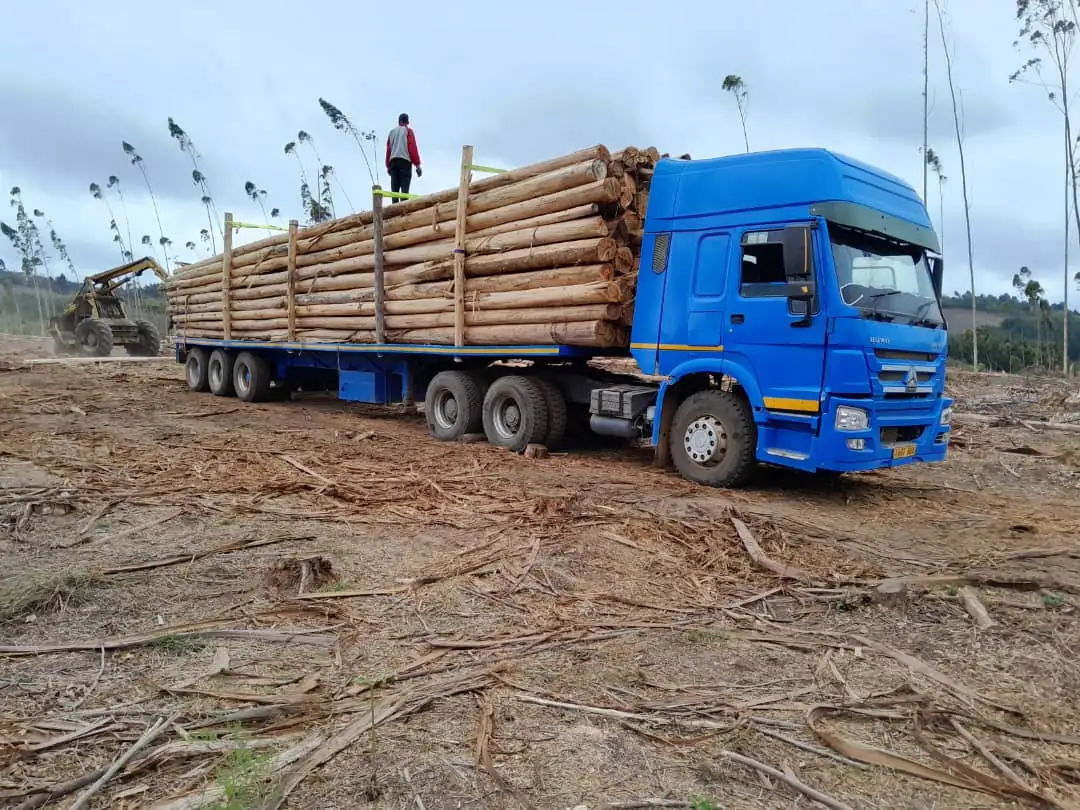 Truck loaded with poles