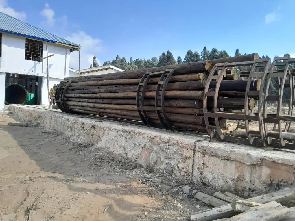 Bundles of treated poles in storage